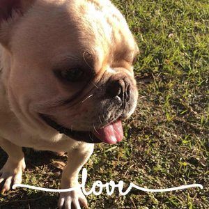 Meet your Posher, Felicia